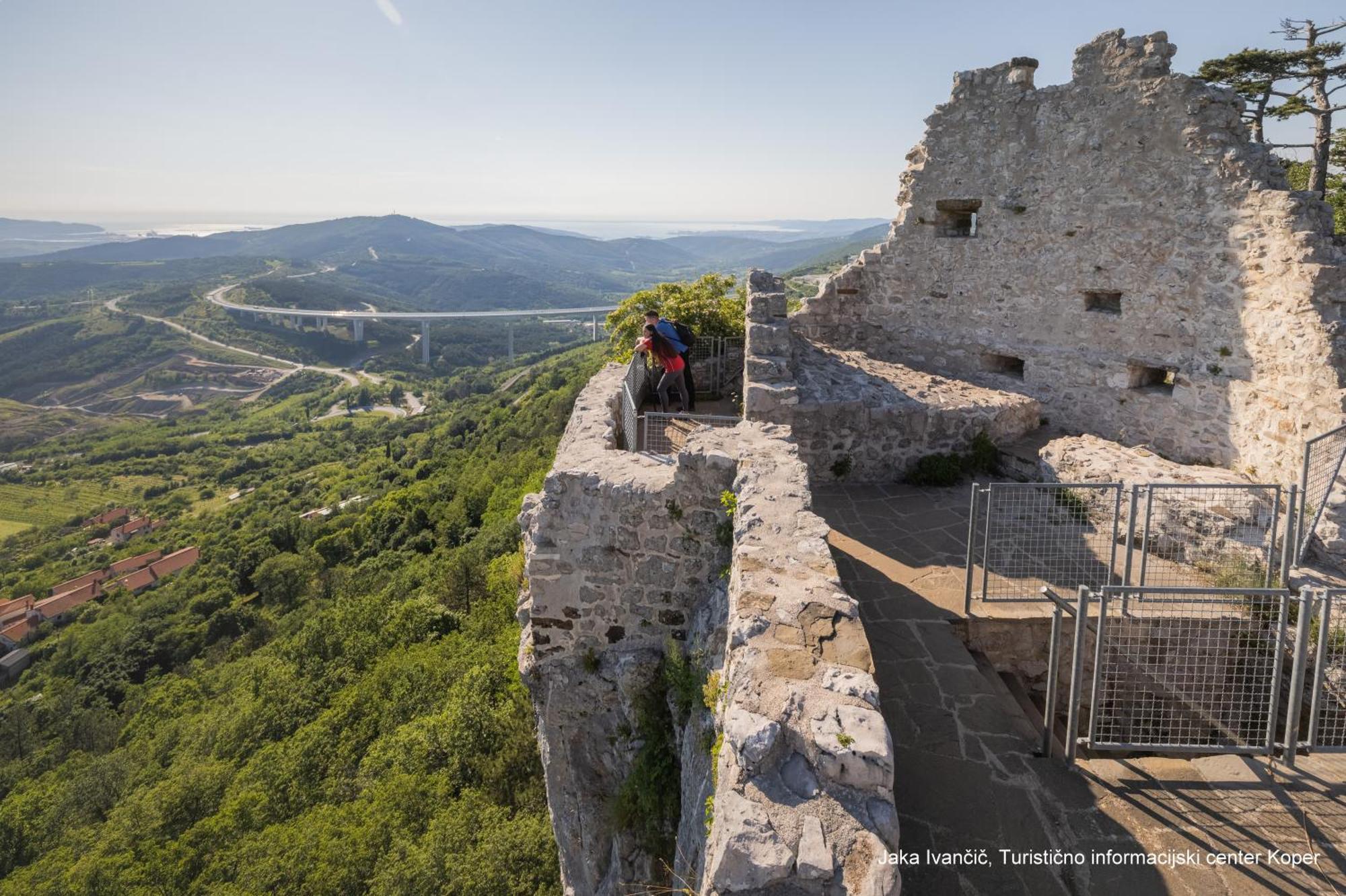 Apartments Souranded By Forest With Sea View Koper Exterior foto