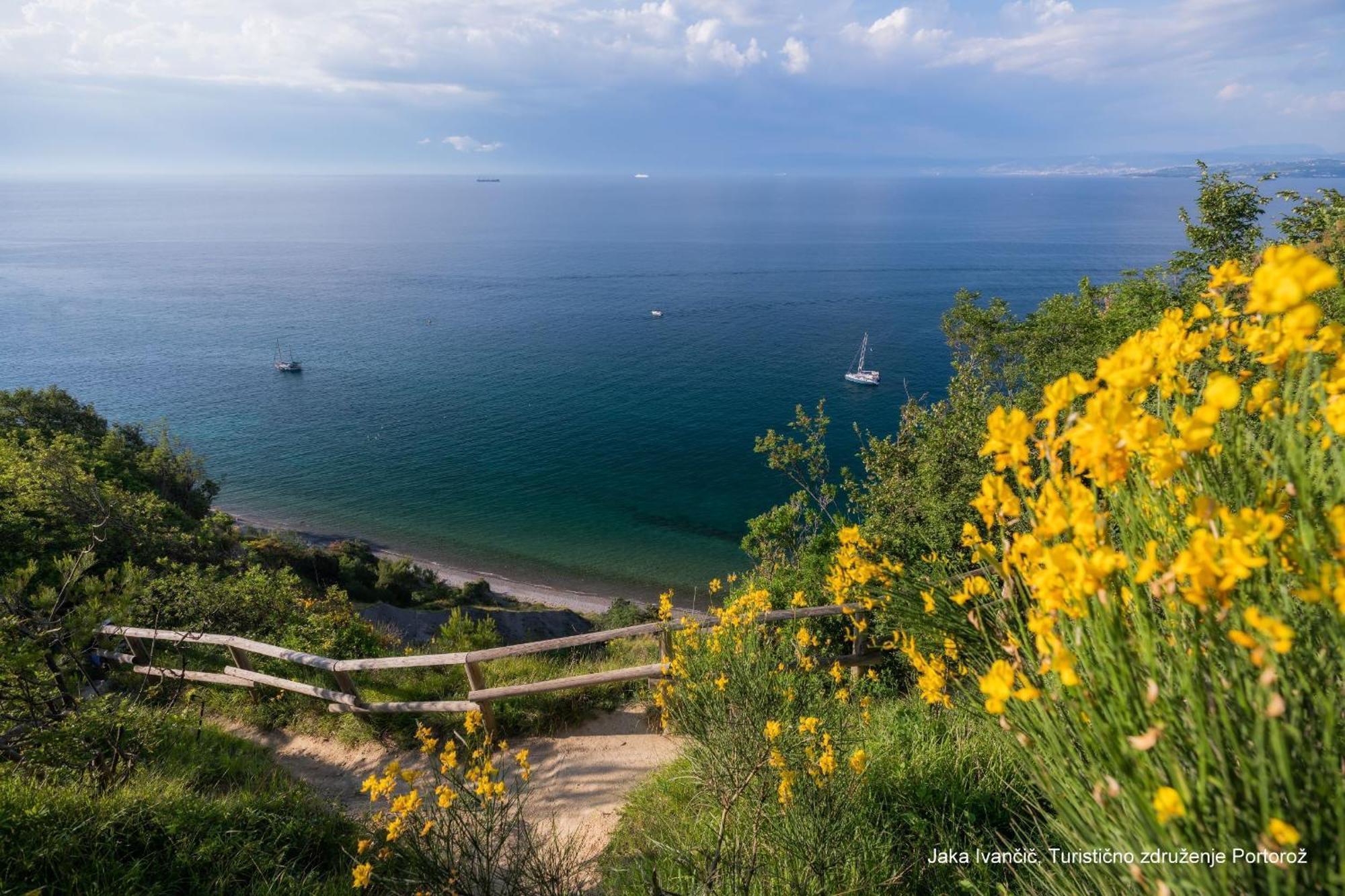 Apartments Souranded By Forest With Sea View Koper Exterior foto