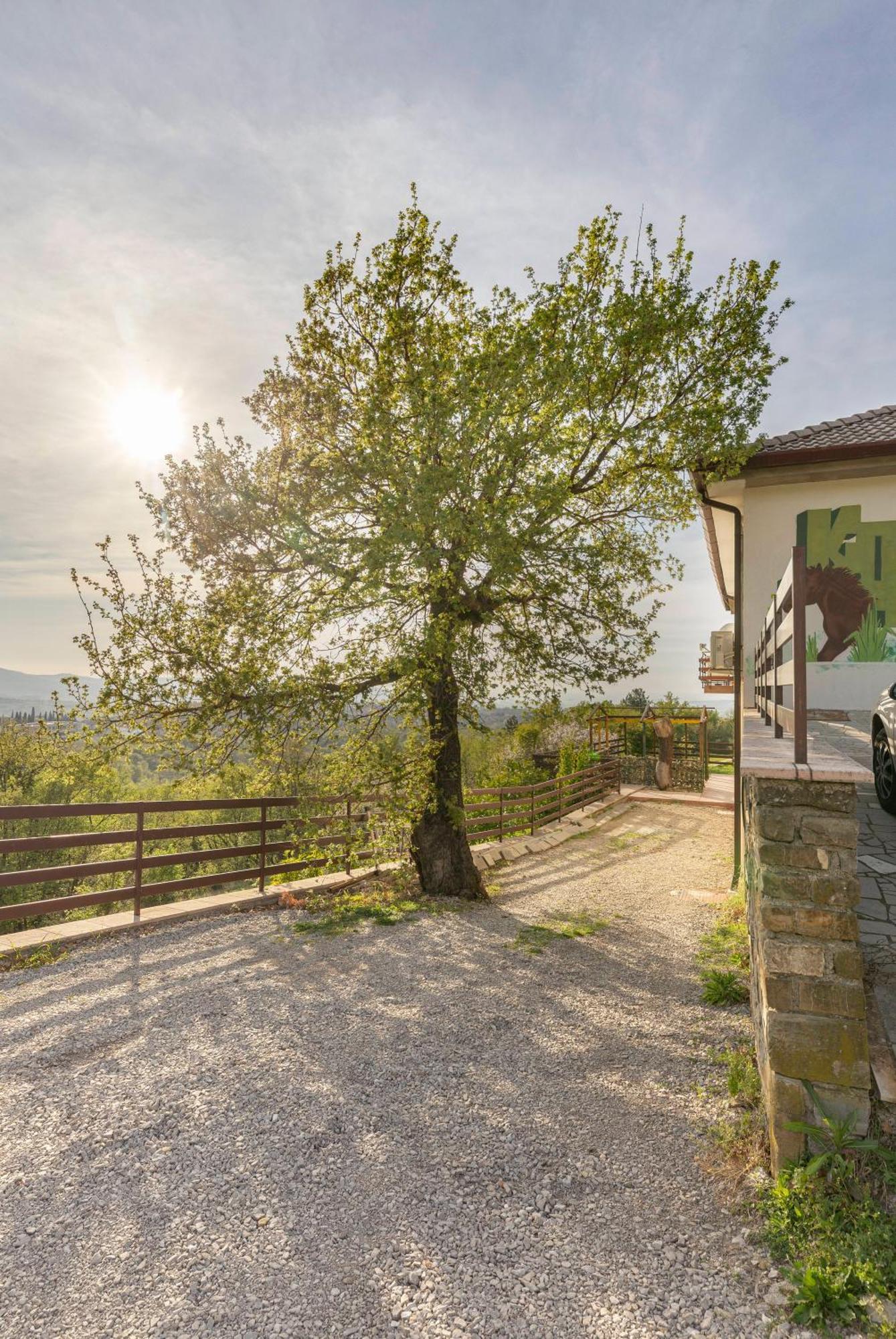 Apartments Souranded By Forest With Sea View Koper Exterior foto