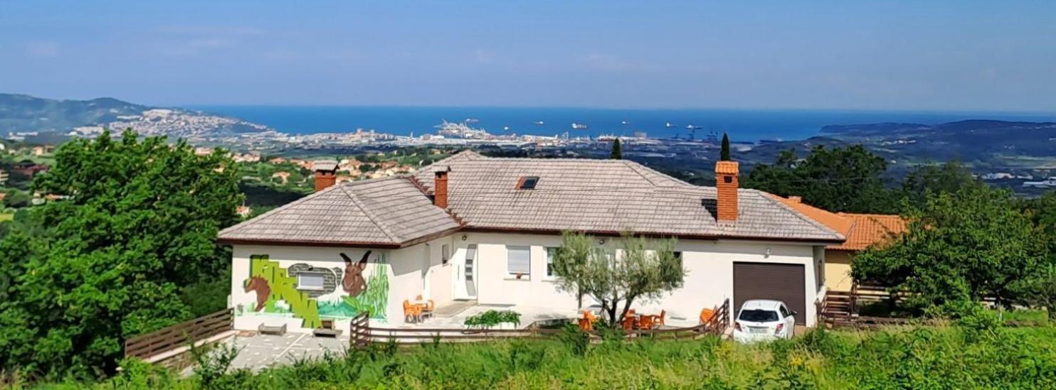 Apartments Souranded By Forest With Sea View Koper Exterior foto